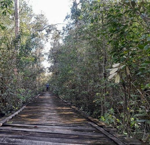 shekher tek eco tourism center Image