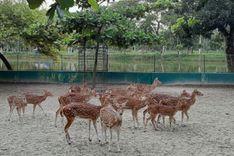 kapotakkho zoo Keshabpur