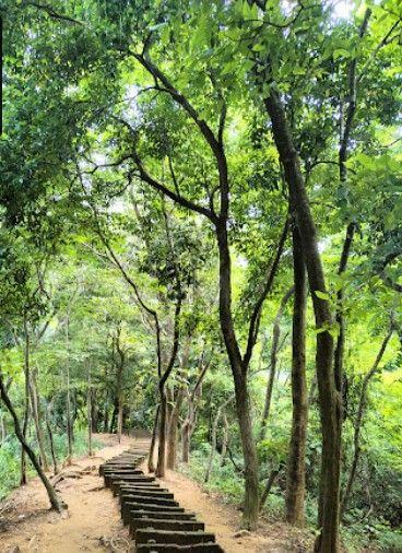 alinagar eco park এর ছবি