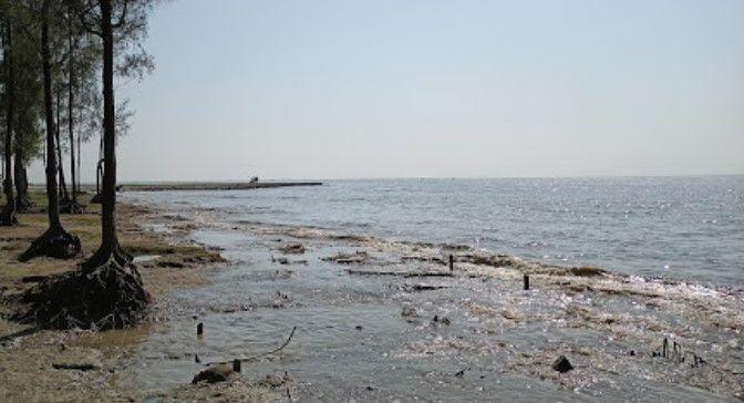 bashbaria sea beach Image