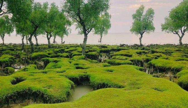 guliakhali sea beach Image