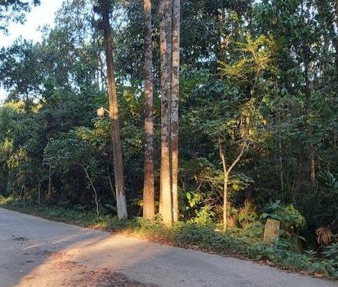 tilagor reserve forest এর ছবি