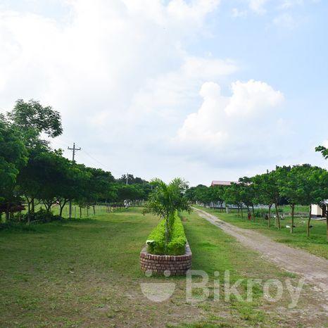 garden area পূর্বাচল