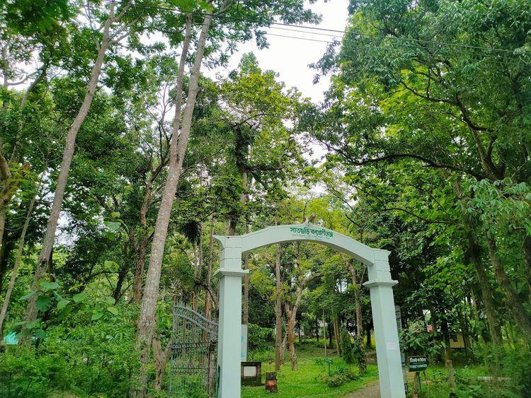 satchari national park Image