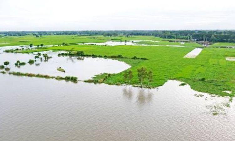 chalan beel এর ছবি