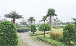 demra botanical garden