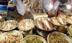 big fish market, pourobazar
