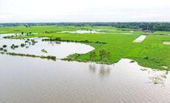 chalan beel Pabna