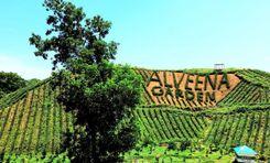 alveena garden গোলাপগঞ্জ