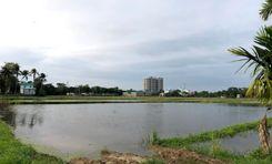 majortila farme lake মেজরটিলা