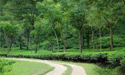 lakkhatura eco park নয়াসড়ক