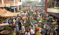 shajahanpur market