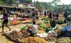 nawdapara bazar  নওদাপাড়া