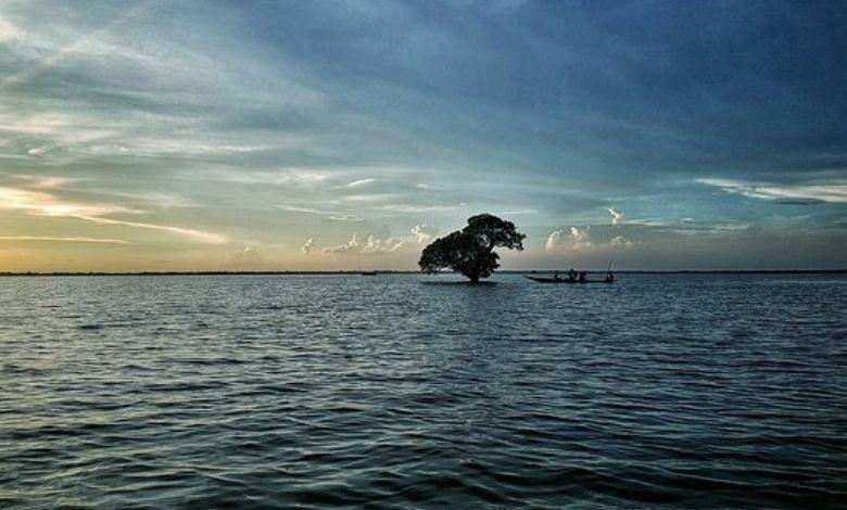 hakaluki haor Image