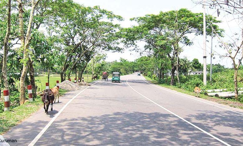 tamabil road Image
