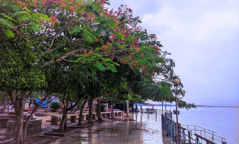 jhalokati municipal mini park Image