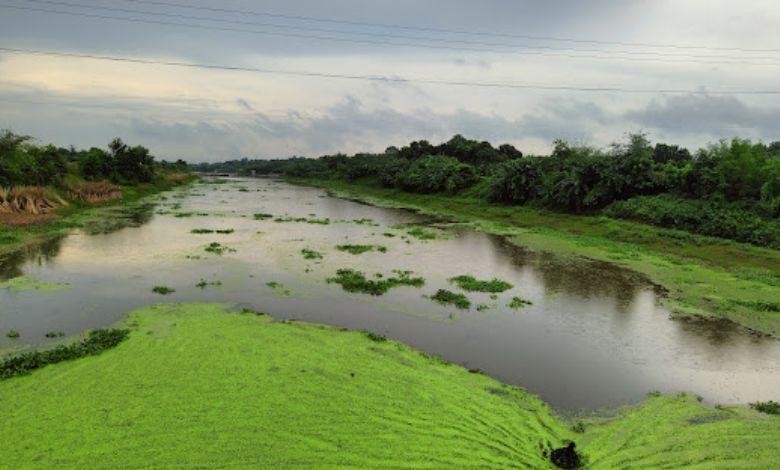 bhairab river এর ছবি