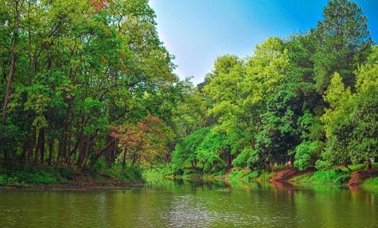 Bhawal National Park Image