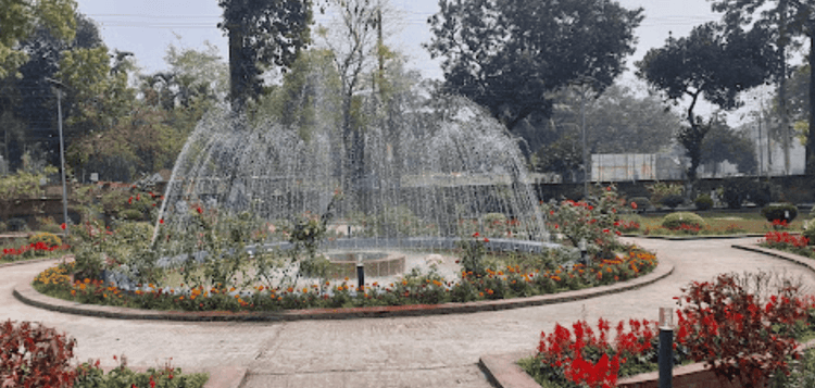 dc garden nilphamari এর ছবি