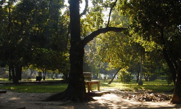 eskaton garden Image