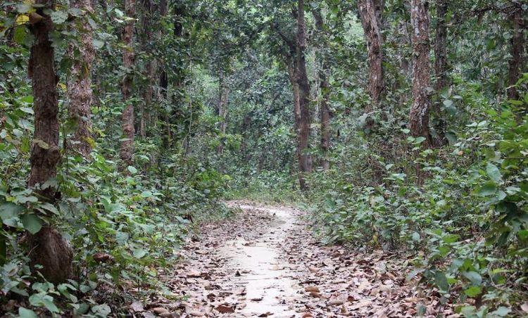kadhighor national park এর ছবি