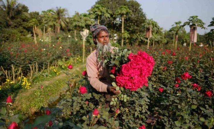 sadullapur flower garden Image