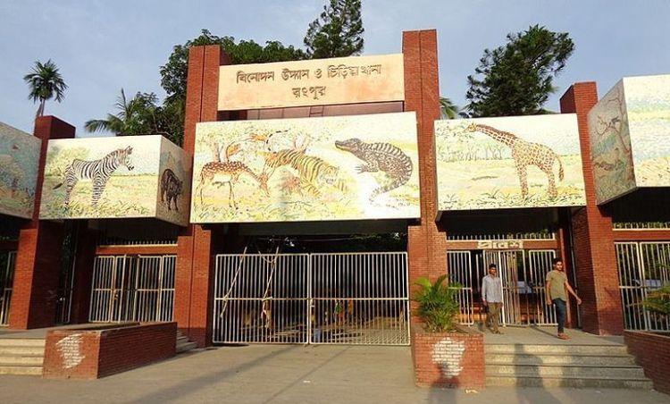 dhap more Image