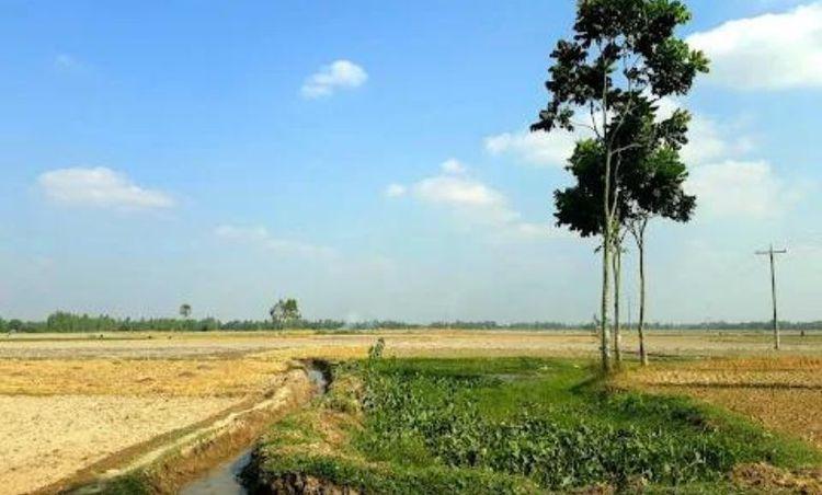 roair dighi Image