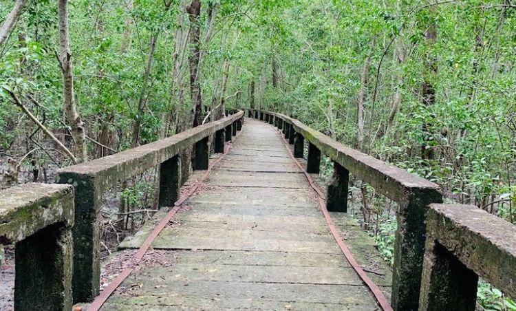 horinghata mangrove forest & wildlife sanctuary Image