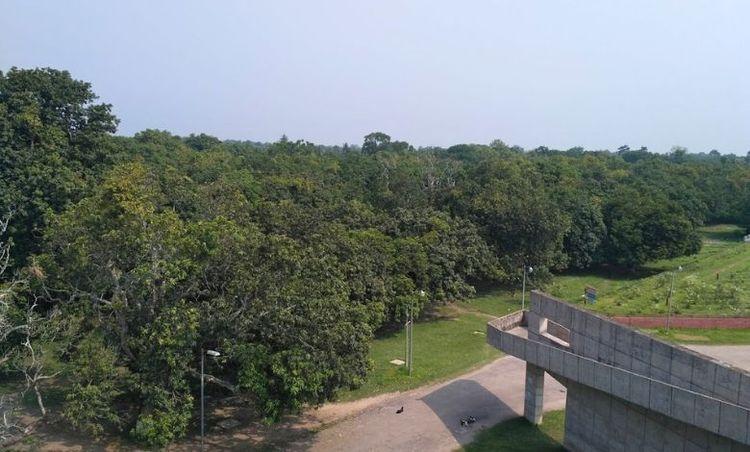 mujibnagar aambagan Image