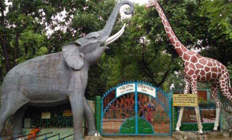 chittagong zoo এর ছবি