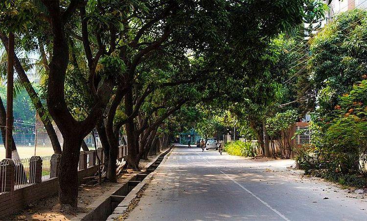 banani dohs Image