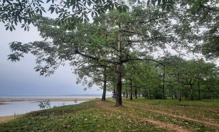 taherpur shimul garden Image