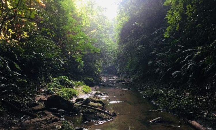lasuban canyon এর ছবি