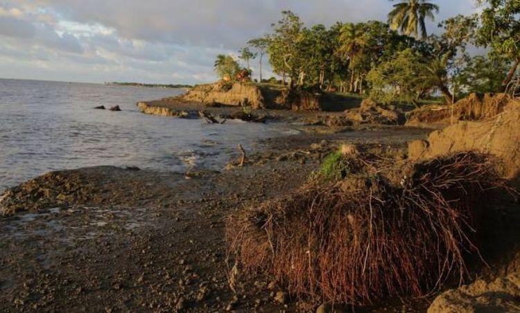 monpura island Image