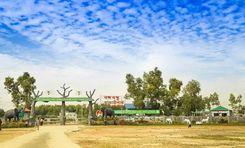 Bangabandhu Safari Park Gazipur