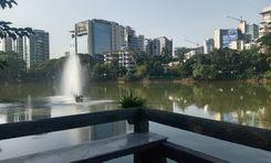 Baridhara Property Insights