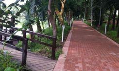 Baridhara Park বারিধারা