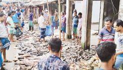 barisal district fish wholesale market চক বাজার
