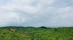 chunati wildlife sanctuary, লোহাগাড়া
