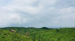 chunti wildlife sanctuary চন্দনাঈশ