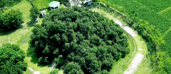 ঠাকুরগাঁও প্রপার্টি ইনসাইট