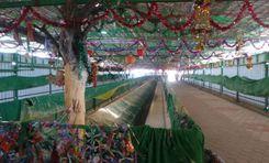 hazrat daud shah mazar নথুল্লাবাদ