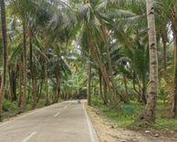 holudia palm forest সাতকানিয়া