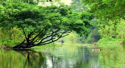 কালিজিরা প্রপার্টি ইনসাইট