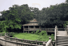kazi and kazi tea estate Panchagarh