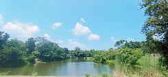 মডার্ন মোড় প্রপার্টি ইনসাইট