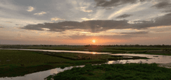 Ishwarganj Property Insights