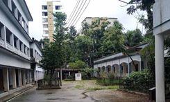 rosamay memorial high school বিশ্বনাথ