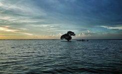 বড়লেখা প্রপার্টি ইনসাইট